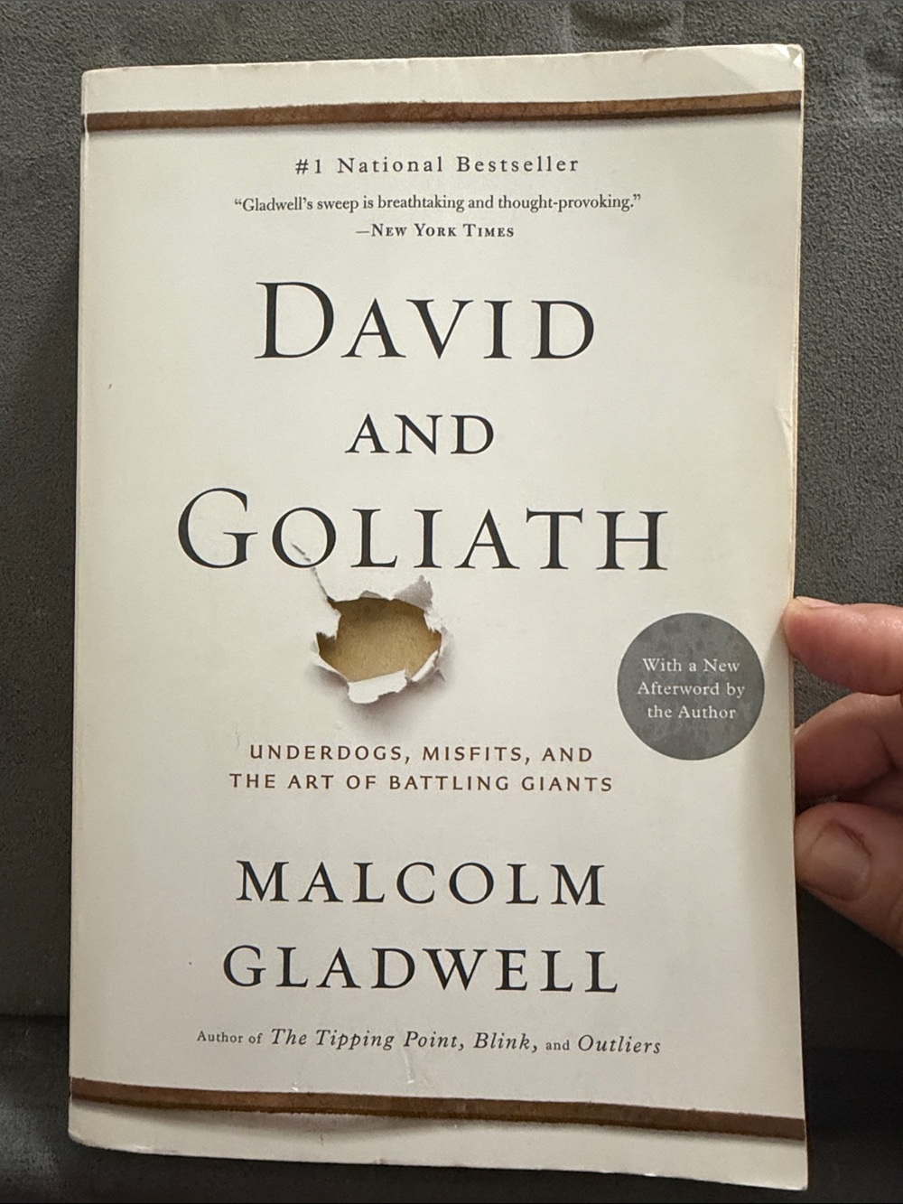 David & Goliath/Underdogs, Misfits & the Art of Battling Giants/Malcolm Gladwell